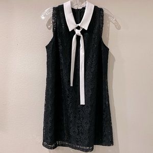 🎉The Moon Size M Black A-Line Lace Overlay Dress w White Collar and White Ties